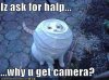 funny-pictures-cat-is-asking-for-help-so-why-are-you-taking-photos.jpg