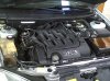 IMG00105-20110513-1339.jpg