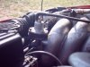 Auto 011.jpg