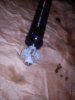 IMG_20120404_173025.jpg
