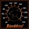 Blackbird