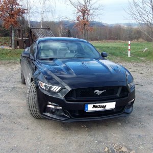 Der Neue