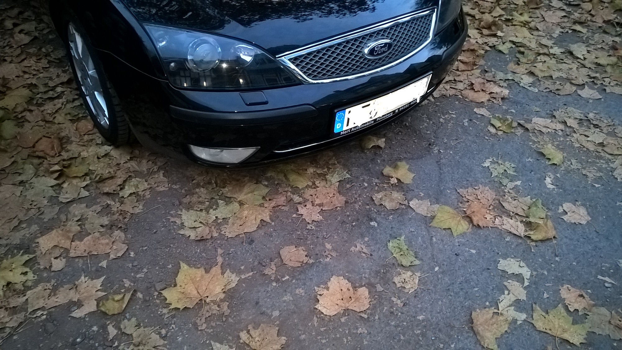 Mondeo