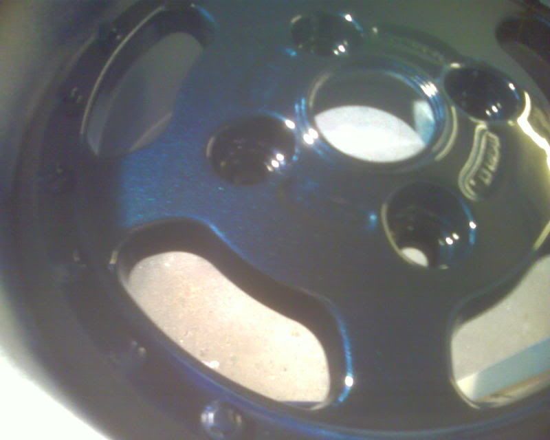 SP_A0491.jpg