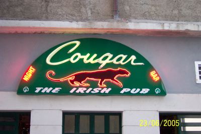 cougarsplit.jpg