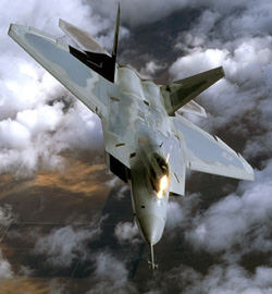 raptor.jpg