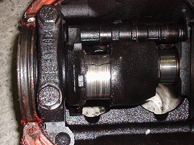 P1010114.jpg