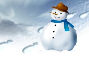 schneemann.jpg