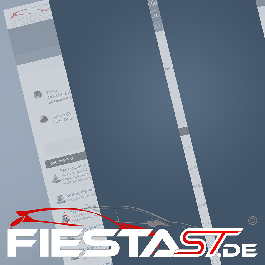 fiestast.de