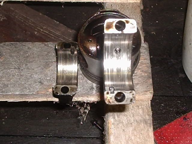 P1010116.jpg